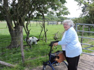 Guest enjoying the animals